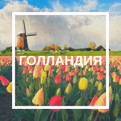 Нидерланды