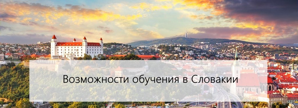 обучение в словакии обучение в словакии Веритас
